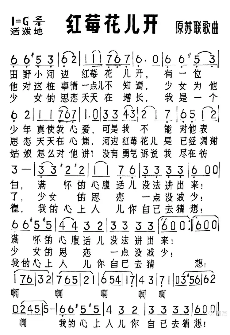 苏联歌曲:红莓花儿开